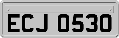 ECJ0530