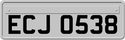 ECJ0538