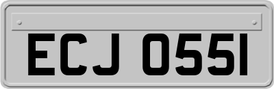 ECJ0551