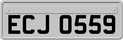 ECJ0559