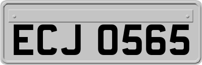 ECJ0565