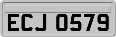 ECJ0579