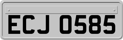 ECJ0585