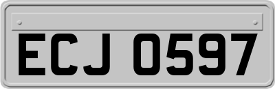 ECJ0597