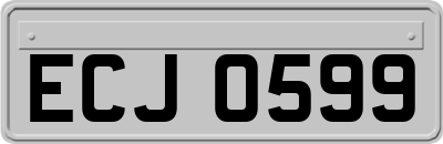 ECJ0599