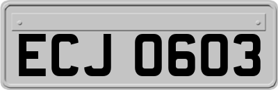 ECJ0603