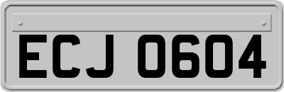 ECJ0604