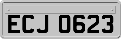 ECJ0623