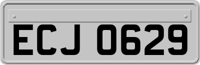 ECJ0629