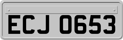 ECJ0653
