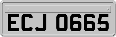 ECJ0665
