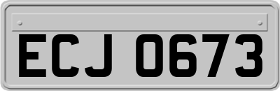 ECJ0673