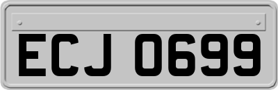 ECJ0699