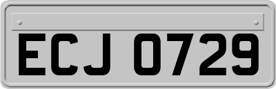 ECJ0729