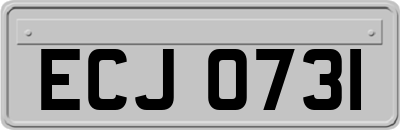 ECJ0731
