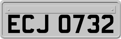 ECJ0732