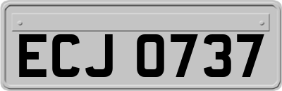 ECJ0737