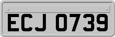 ECJ0739