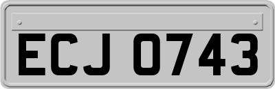 ECJ0743
