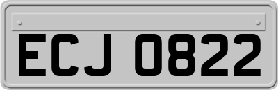 ECJ0822