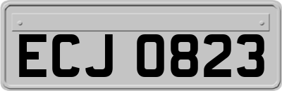 ECJ0823