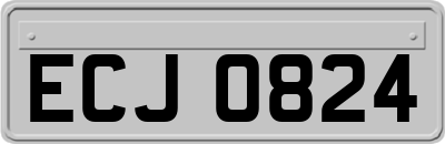 ECJ0824