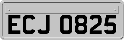 ECJ0825