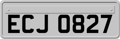 ECJ0827