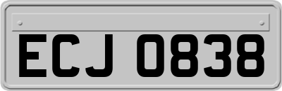 ECJ0838