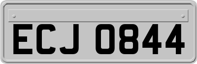 ECJ0844