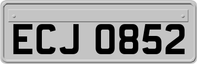 ECJ0852