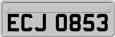 ECJ0853