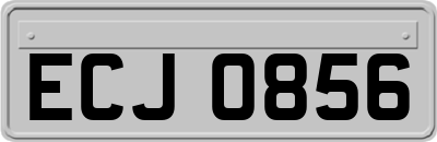 ECJ0856