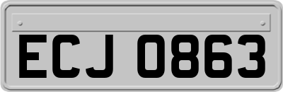 ECJ0863