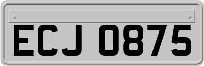 ECJ0875