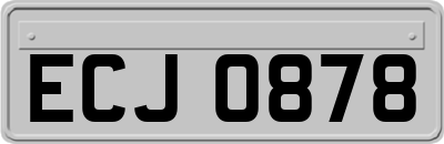 ECJ0878