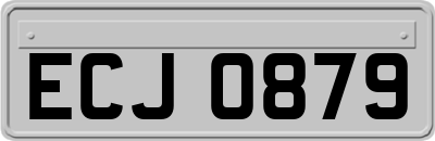 ECJ0879