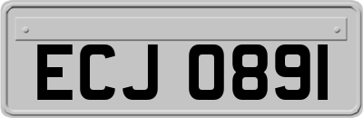 ECJ0891