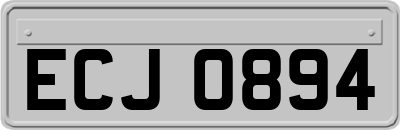 ECJ0894