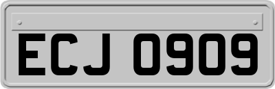 ECJ0909