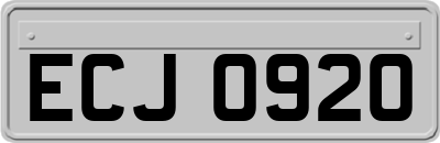 ECJ0920