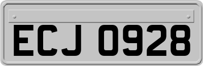ECJ0928