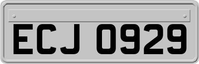 ECJ0929