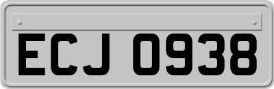 ECJ0938