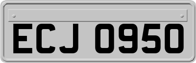 ECJ0950