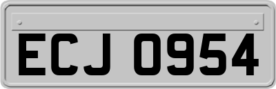 ECJ0954