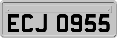 ECJ0955