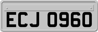 ECJ0960