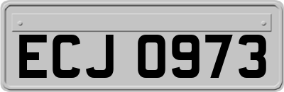 ECJ0973