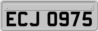 ECJ0975
